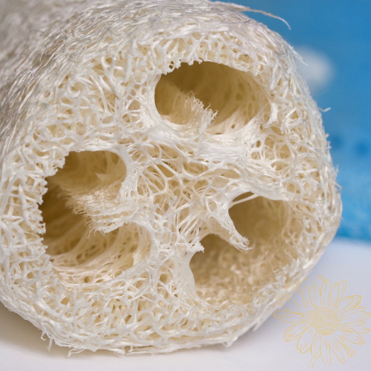 Large Loofah on a Rope